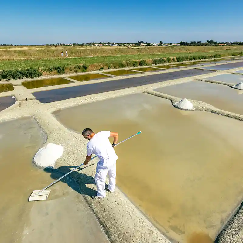 Découvrez les marais salants