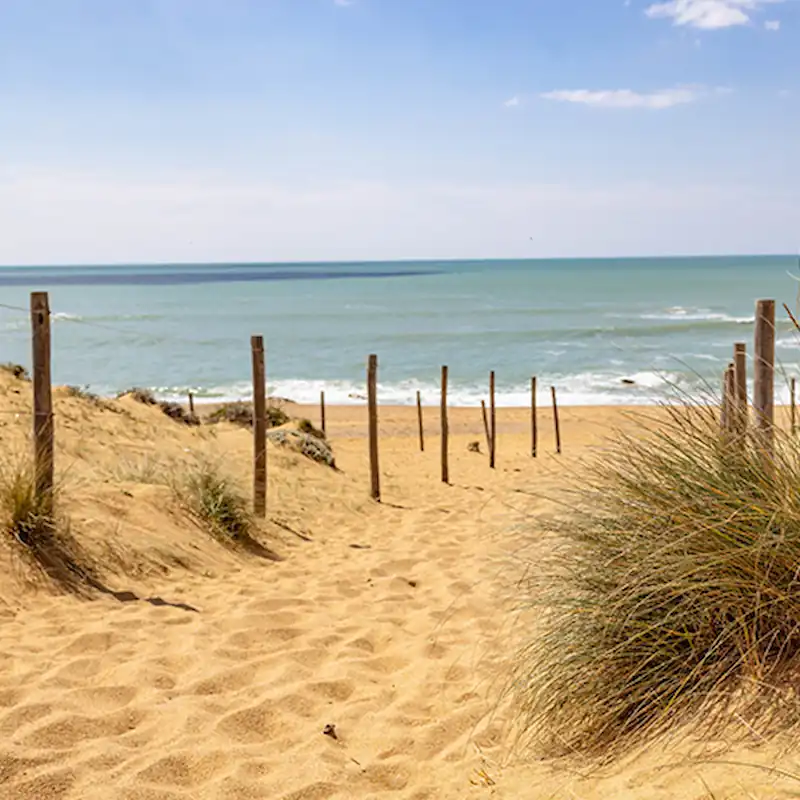 Profitez des plages & de l’océan